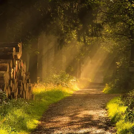 Casa vacanze Sauerland-haeuschen Kleine Auszeit *