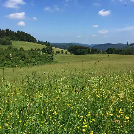 別荘 Sauerland-haeuschen Kleine Auszeit