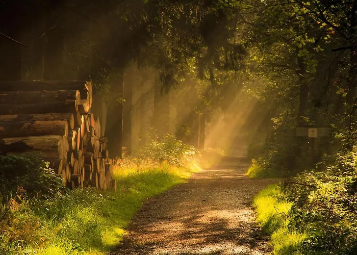 Дом отдыха Sauerland-haeuschen Kleine Auszeit *