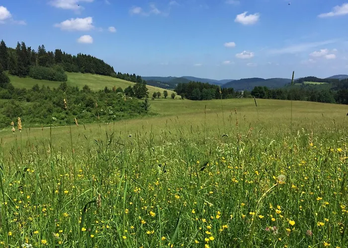 Дом отдыха Sauerland-haeuschen Kleine Auszeit