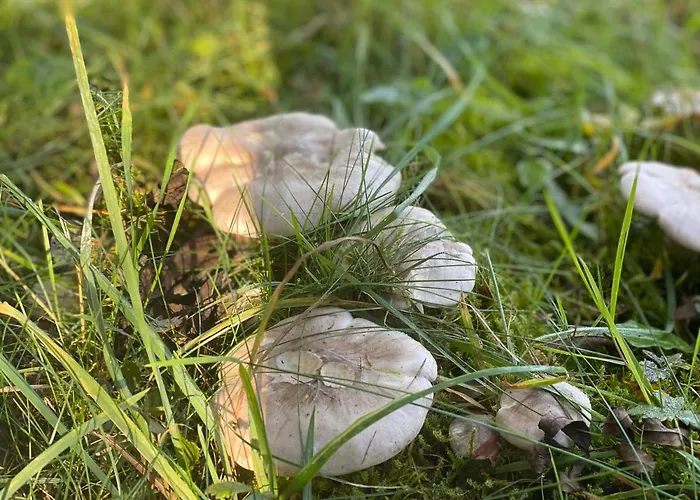 Sauerland-haeuschen Kleine Auszeit Дом отдыха